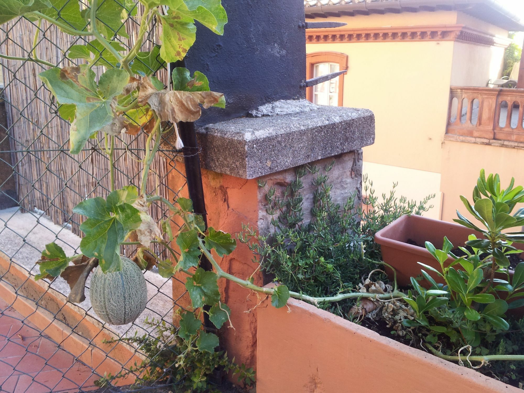 Bed and Breakfast Al Giardino Di Alice Perugia Zewnętrze zdjęcie